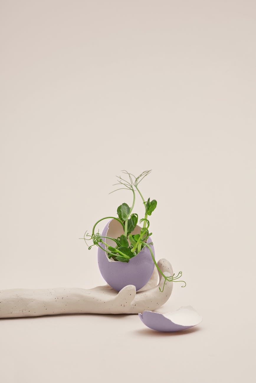 green plant growing through eggshell on clay hand